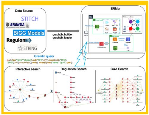 微生物領(lǐng)域的革新 Tibcas聯(lián)合亞馬遜云科技提出針對(duì)真實(shí)業(yè)務(wù)場景的信息技術(shù)咨詢服務(wù)新框架